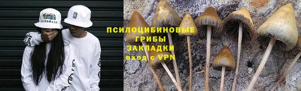 прущая мука Навашино