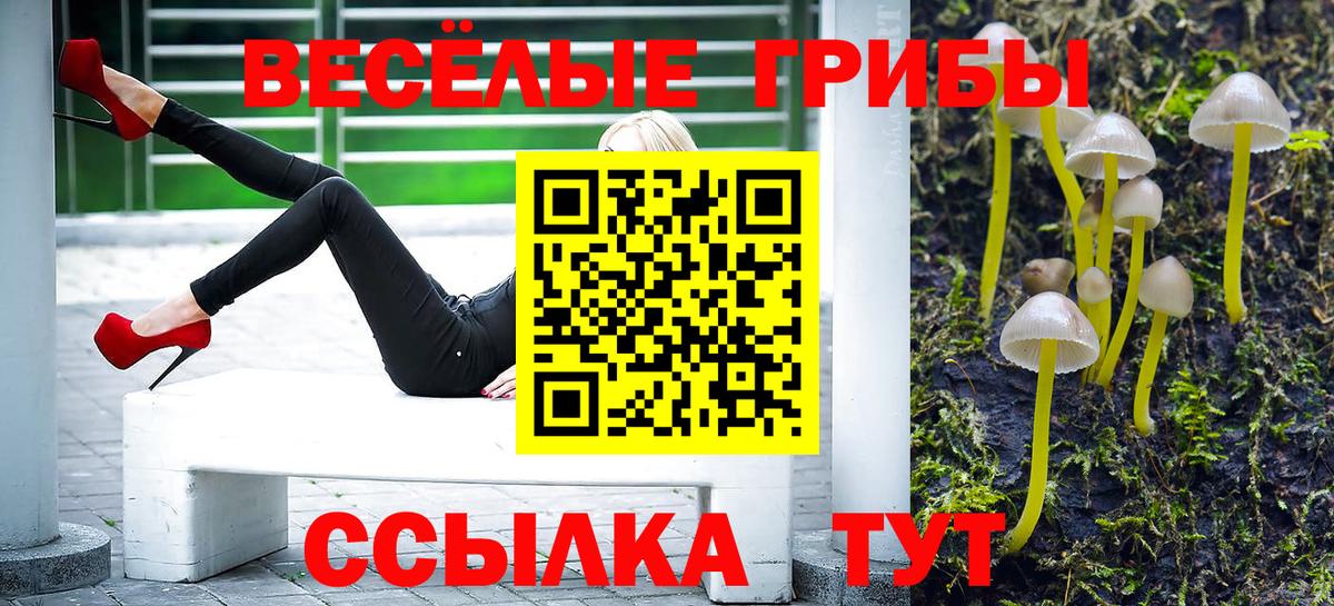 Псилоцибиновые грибы Psilocybe Балаково