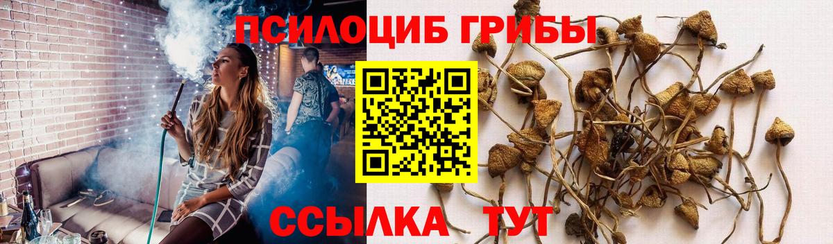Галлюциногенные грибы Cubensis Балаково
